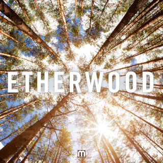 Etherwood